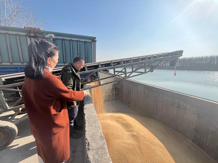 “黨建領(lǐng)航，守護(hù)糧安”淮糧集團(tuán)開展特色品牌黨建活動(dòng)